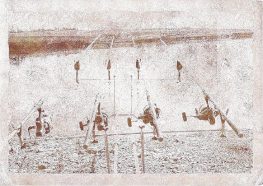 Poze reusite si nereusite - test-8.jpg